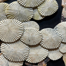 Load image into Gallery viewer, Folding Screen w Carved Stone