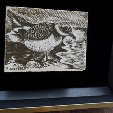 Load image into Gallery viewer, R. Windfield, Killdeer Etching
