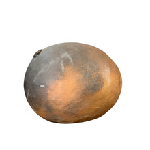 Load image into Gallery viewer, Joy Brown Wood Fired Pod Sculpture

