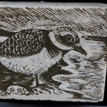 Load image into Gallery viewer, R. Windfield, Killdeer Etching
