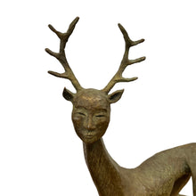 Load image into Gallery viewer, Close-up of face and antlers showing surface texture and detailing.
