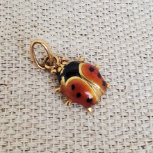 Load image into Gallery viewer, 18K Gold &amp; Enamel Lady Beetle Charm
