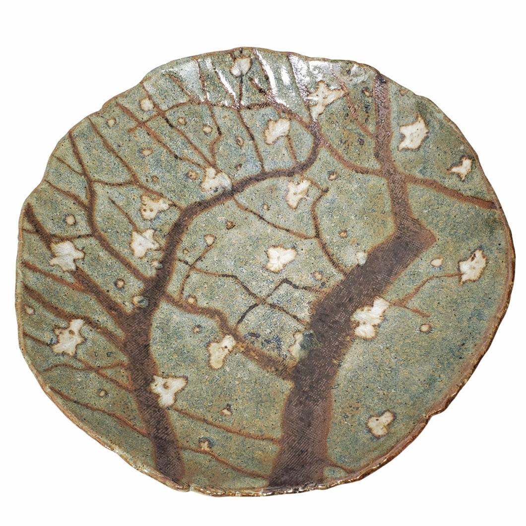 Ken Nagaqui Bowl